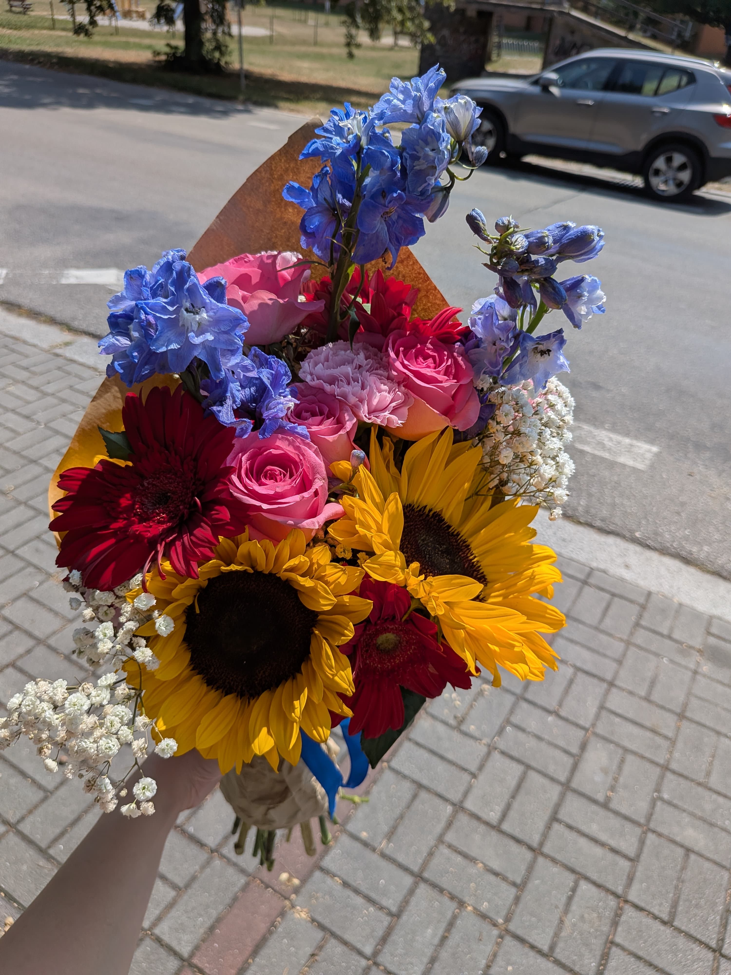 Vivid Bloom 2